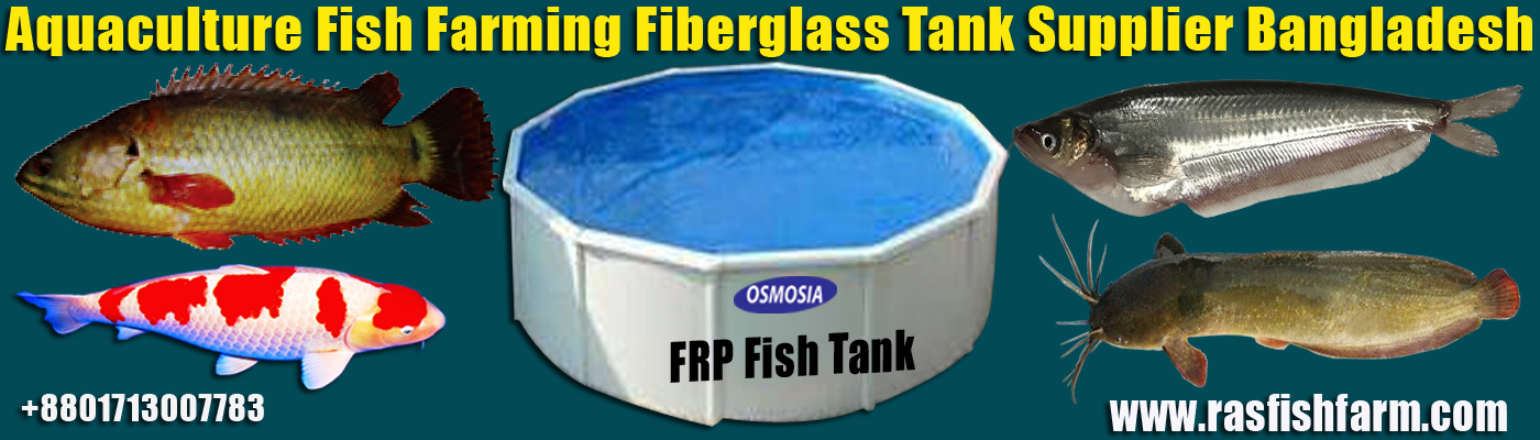 RAS Fish Farming Supplier in Bangladesh, RAS Indoor Fish Farming Supplier in Bangladesh, RAS Indoor Fish Farming Company in Bangladesh, RAS Indoor Fish Farming Importer in Bangladesh, RAS Fish Farming Importer Company in Bangladesh, RAS Fish Farming Supplier Company in Bangladesh, RAS Indoor Fish Farming Supplier Company in Bangladesh, Aquaculture Fish Pond Water Filtering Products Suppliers Company in Bangladesh, Aquaculture Fish Pond Water Filtering Products Supplier Company in Bangladesh, Aquaculture Fish Pond Water Filtration Products Supplier Company in Bangladesh, Aquaculture Fish Pond Water Filtration Equipment Supplier Company in Bangladesh, Aquaculture Fish Pond Water Purifier Equipment Supplier Company in Bangladesh, Aquaculture Koi Fish Pond Water Purifier Equipment Supplier Company in Bangladesh, Aquaculture Fresh Water Fish Pond Filter Supplier Company in Bangladesh, Aquaculture Fresh and Marine Water Fish Pond Filter Supplier Company in Bangladesh